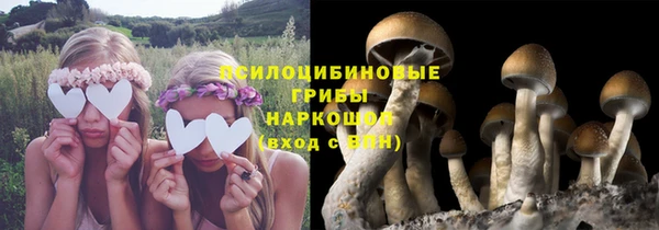 соль ск Балахна