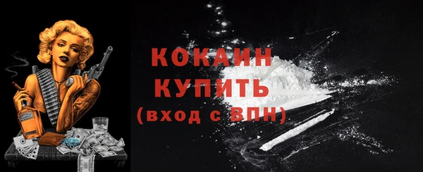 соль ск Балахна