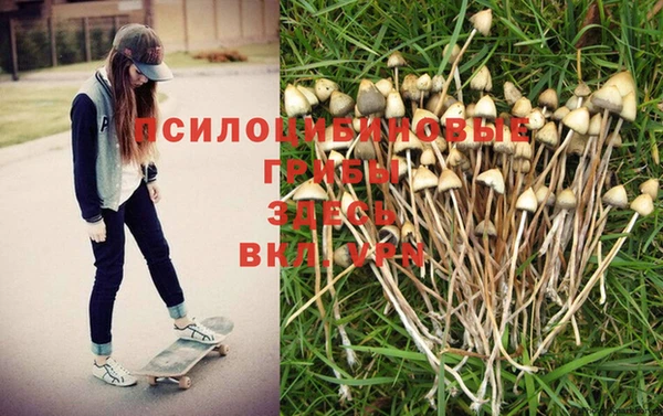 jwh Баксан