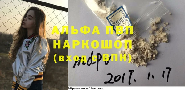ALPHA PVP Строитель